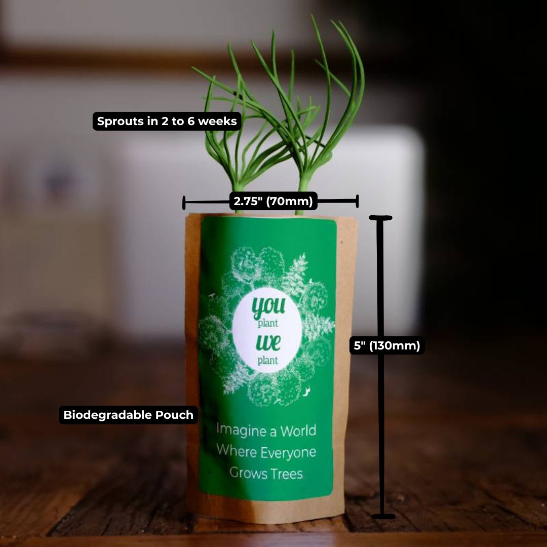 You Plant We Plant Tree Pouch, We Plant 500 More Trees