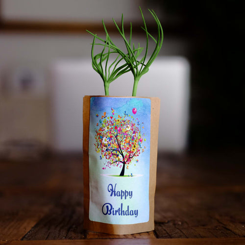 Birthday Bouquet